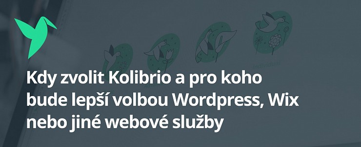 Kdy zvolit Kolibrio a pro koho bude lepší volbou Wordpress, Wix nebo jiné webové služby